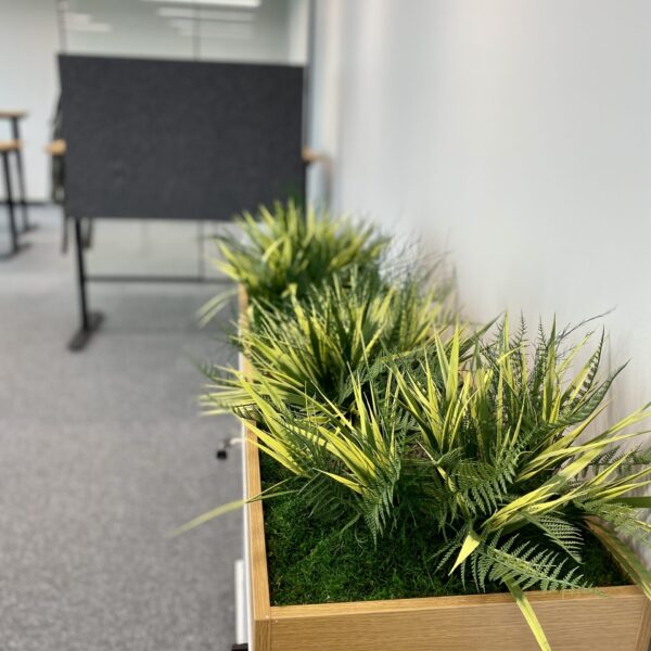 Taimekast kontorisse