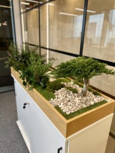 Plantbox to office from preserved and artifical plants