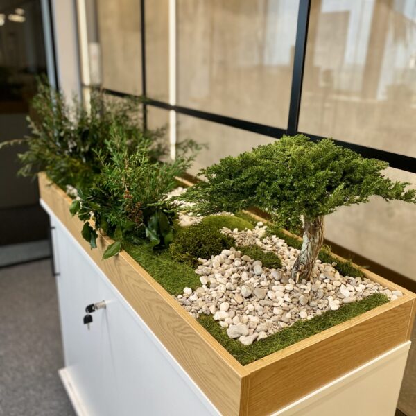 Plantbox to office from preserved and artifical plants