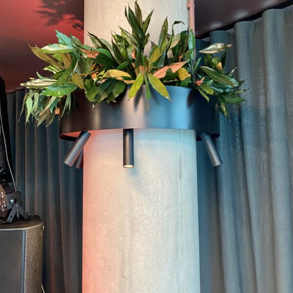 D74A99D5-72F5-4B15-9B0E-B4CA15850C15