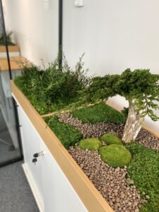 Taimekast säilitatud ja kunsttaimedest kontorisse Forgreenerlife.com