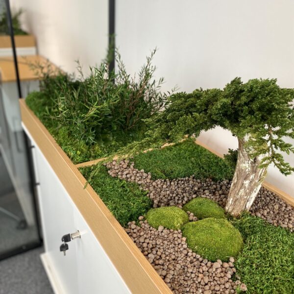 Taimekast säilitatud ja kunsttaimedest kontorisse Forgreenerlife.com