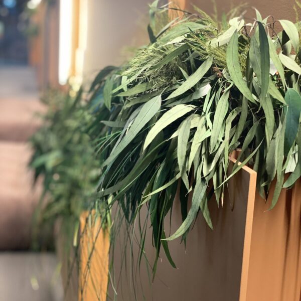 EF639DE6-9FCD-4D1D-8476-6D7A7EBC875C