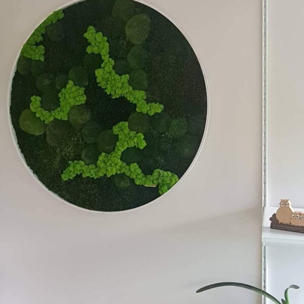 Lilleküla Gümnaasium erinevatest samblikest ümmargune pilt. Forgreenerlife.com