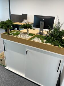 Taimekast säilitatud ja kunsttaimedest kontorisse Forgreenerlife.com