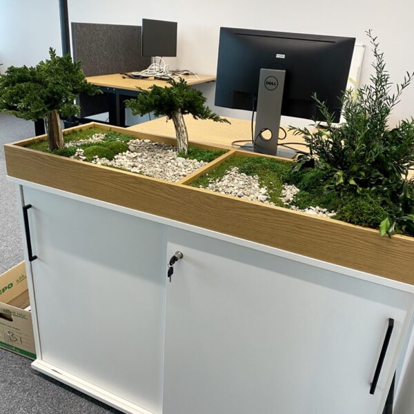 Taimekast säilitatud ja kunsttaimedest kontorisse Forgreenerlife.com