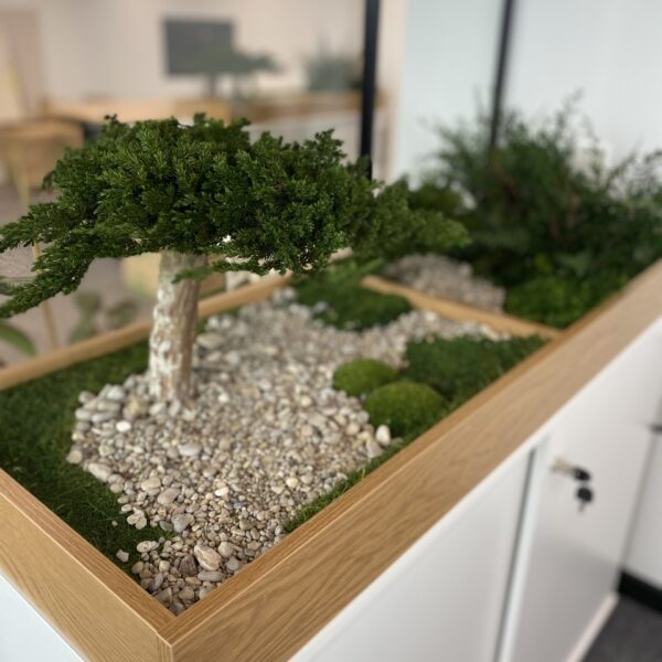 Taimekast säilitatud ja kunsttaimedest kontorisse Forgreenerlife.com