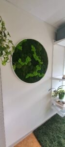 Lilleküla Gümnaasium erinevatest samblikest ümmargune pilt. Forgreenerlife.com