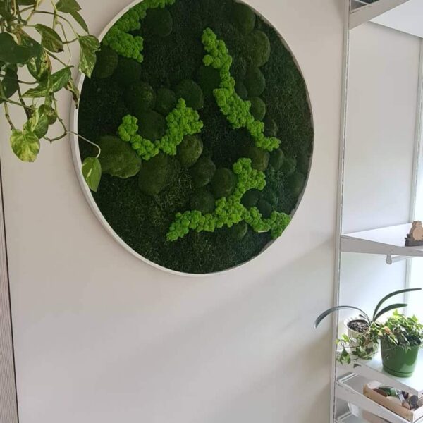 Lilleküla Gümnaasium erinevatest samblikest ümmargune pilt. Forgreenerlife.com