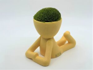 Samblapoiss mätassamblast "juustega".