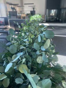 Taimekastid hooldusvabadest säilitatud taimedest