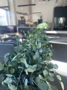 Taimekastid hooldusvabadest säilitatud taimedest