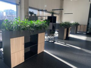 Taimekastid hooldusvabadest säilitatud taimedest