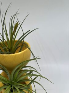 Keraamiline kuju õhulillega