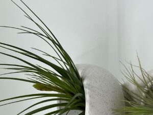 Keraamiline kuju õhulillega