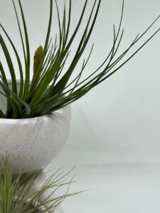 Keraamiline kuju õhulillega