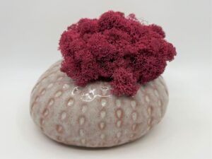 Säilitatud_sammal_keraamilisel_alusel