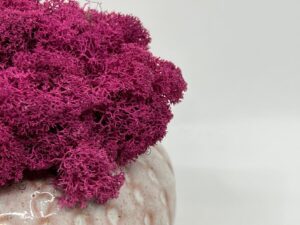 Säilitatud_sammal_keraamilisel_alusel