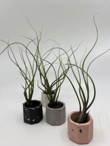 õhulii Happy drops anumas butzii