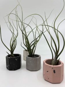 Õhulill anumas Happy Drops_butzii