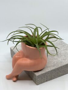 Õhulill keraamilisel alusel