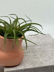 Õhulill keraamilisel alusel