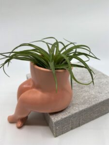 Õhulill keraamilisel alusel