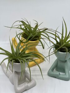 Õhulilleseade pikutav figuur