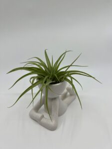 Õhulilleseade pikutav figuur