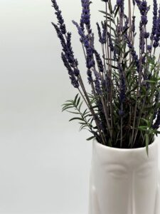 Säilitatud_lavendel_keraamilises_vaasis