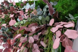 Säilitatud taimedest piltt