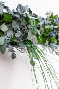 Säilitatud taimedest pilt