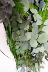 Säilitatud taimedest ja samblast pilt