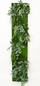 Säilitatud taimedest ja samblast pilt