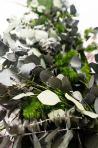 Säilitatud taimedest pilt