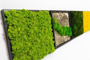 Samblapilt Forgreenerlife