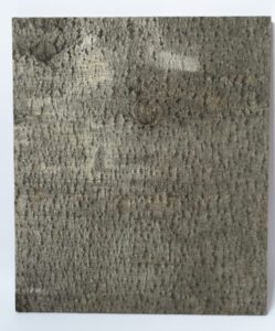 Haavakoorest seinapaneel_aspen bark panel