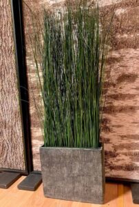 Säilitatud kõrrelised keraamilises potis