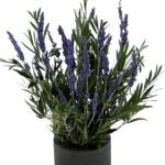 Lavendel kivist alusel 2