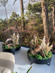 Sisekujundus Saku Tervisekeskus