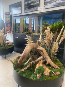 Sisekujundus Saku Tervisekeskus