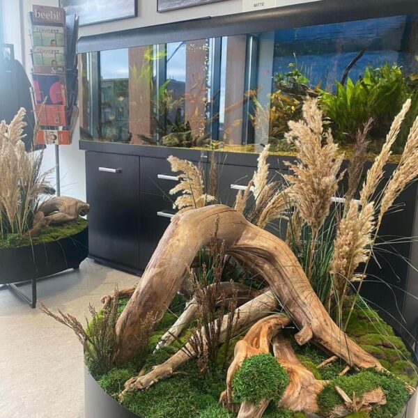 Sisekujundus Saku Tervisekeskus