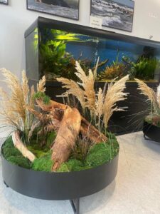 Sisekujundus Saku Tervisekeskus