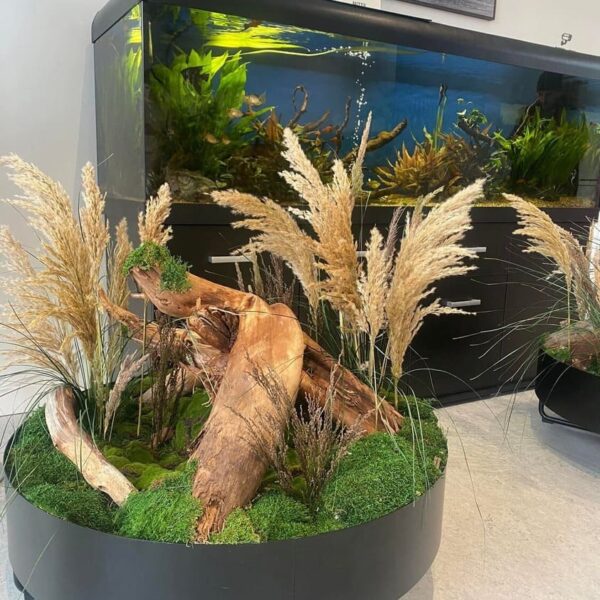 Sisekujundus Saku Tervisekeskus