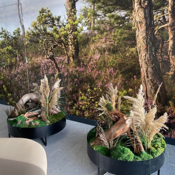 Sisekujundus Saku Tervisekeskus