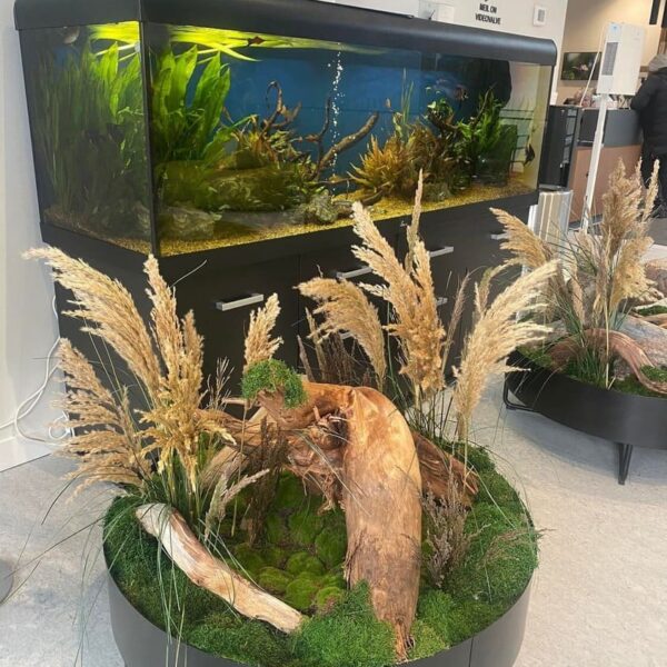 Sisekujundus Saku Tervisekeskus