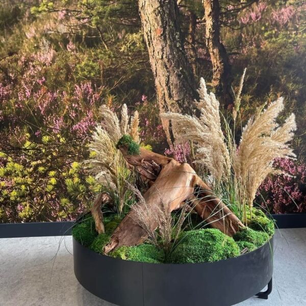 Sisekujundus Saku Tervisekeskus