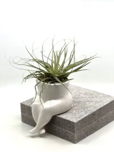 Istuv lilleneiu õhulillega