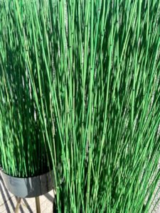 Kõrrelised metallist potis