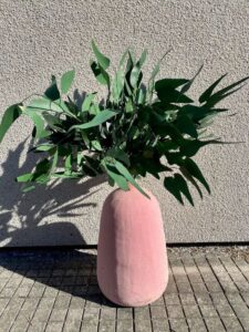 Säilitatud oksad roosas vaasis